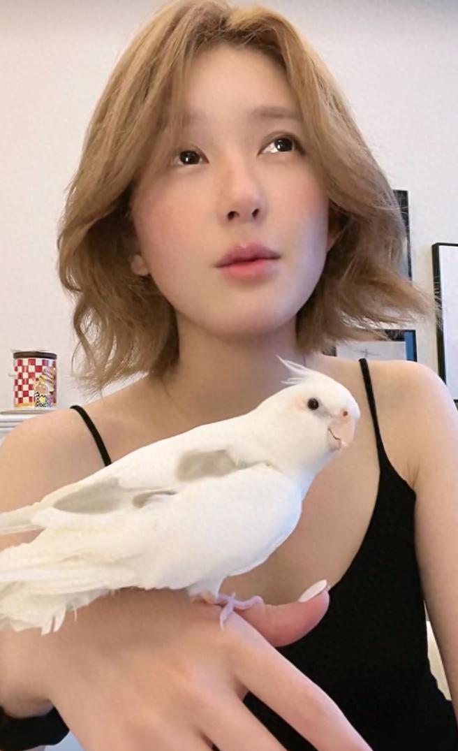 赵露思否认整容并反问:整容犯法吗